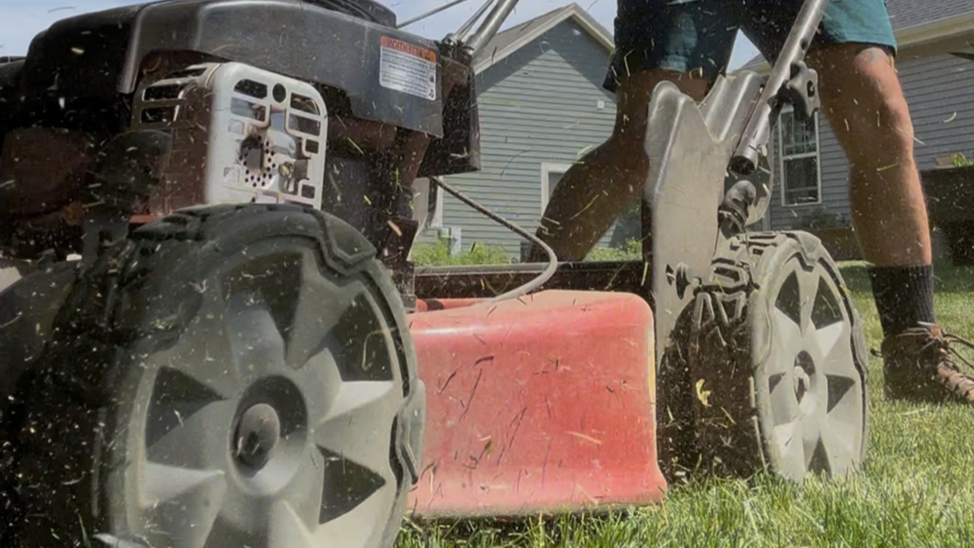 Weekly vs Biweekly Lawn Service: Which Actually Costs Less?